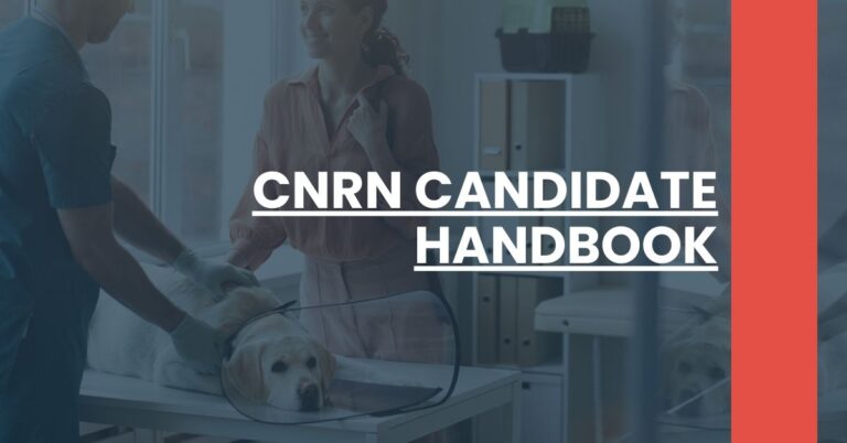 CNRN Candidate Handbook Feature Image