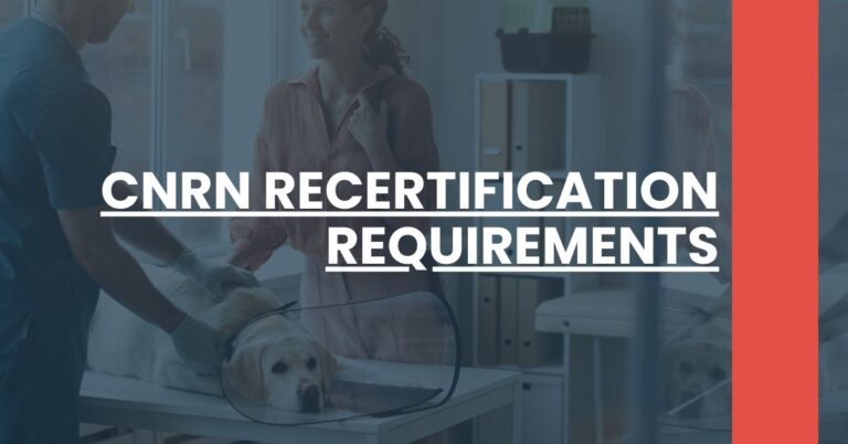 CNRN Recertification Requirements Feature Image