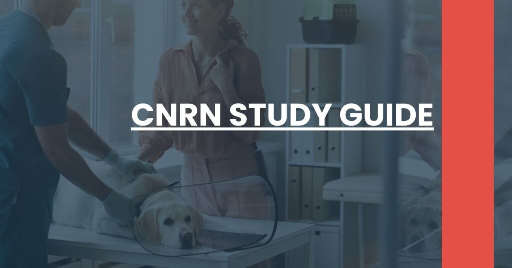 CNRN Study Guide Feature Image