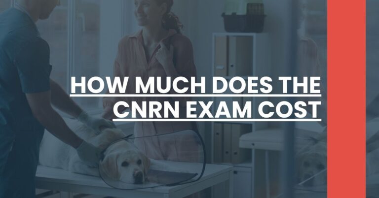 How Much Does The CNRN Exam Cost Feature Image