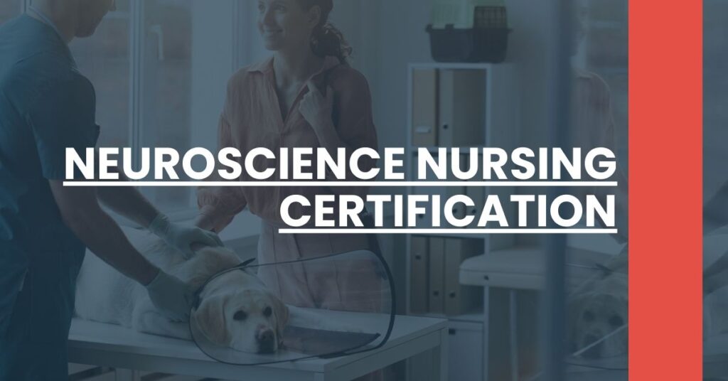 Neuroscience Nursing Certification Feature Image
